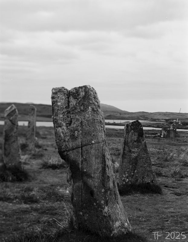 uncropped version of the cover image